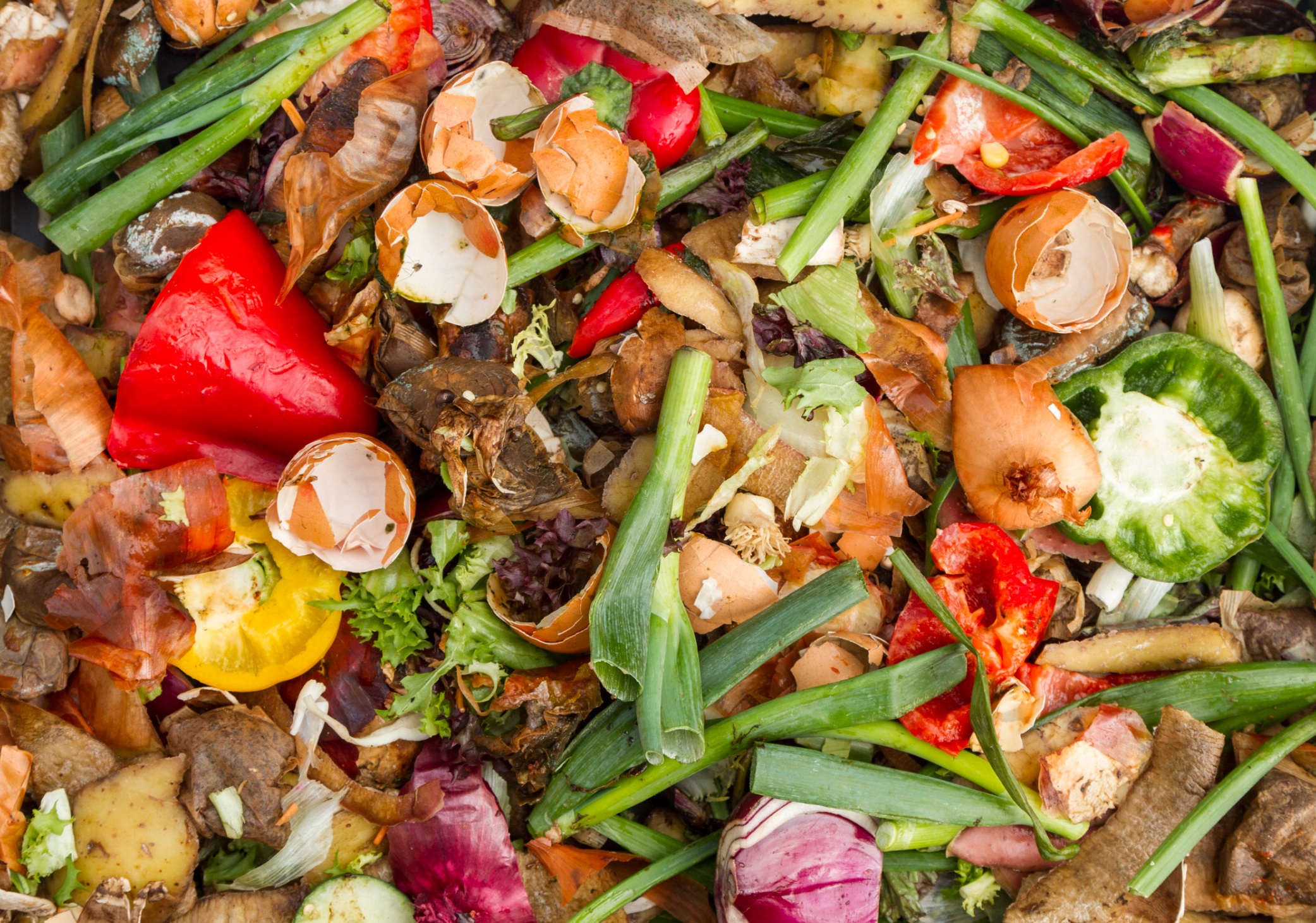 stock photo of vegetables beginning to rot