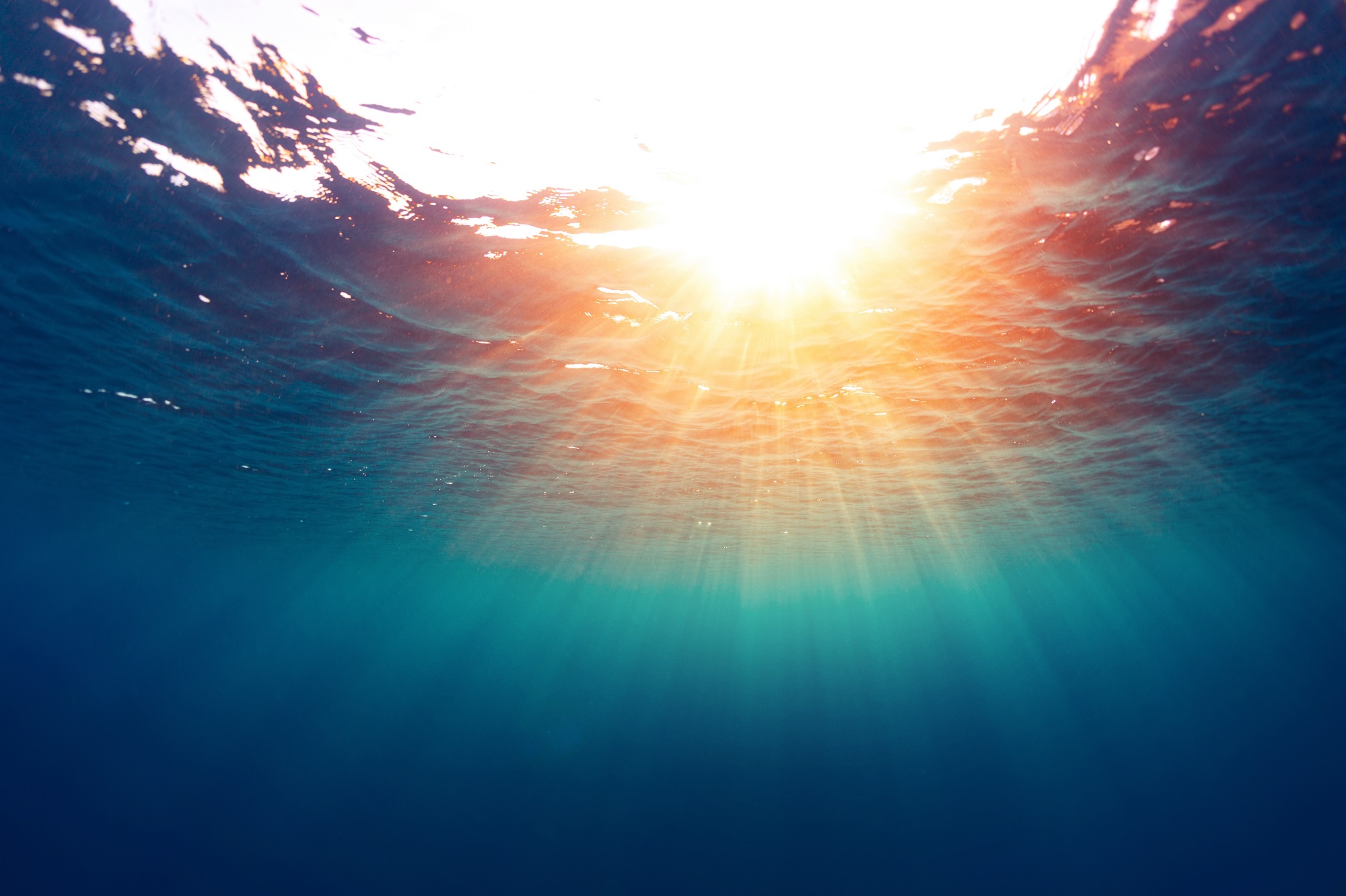 picture of the sunlight from inside the ocean