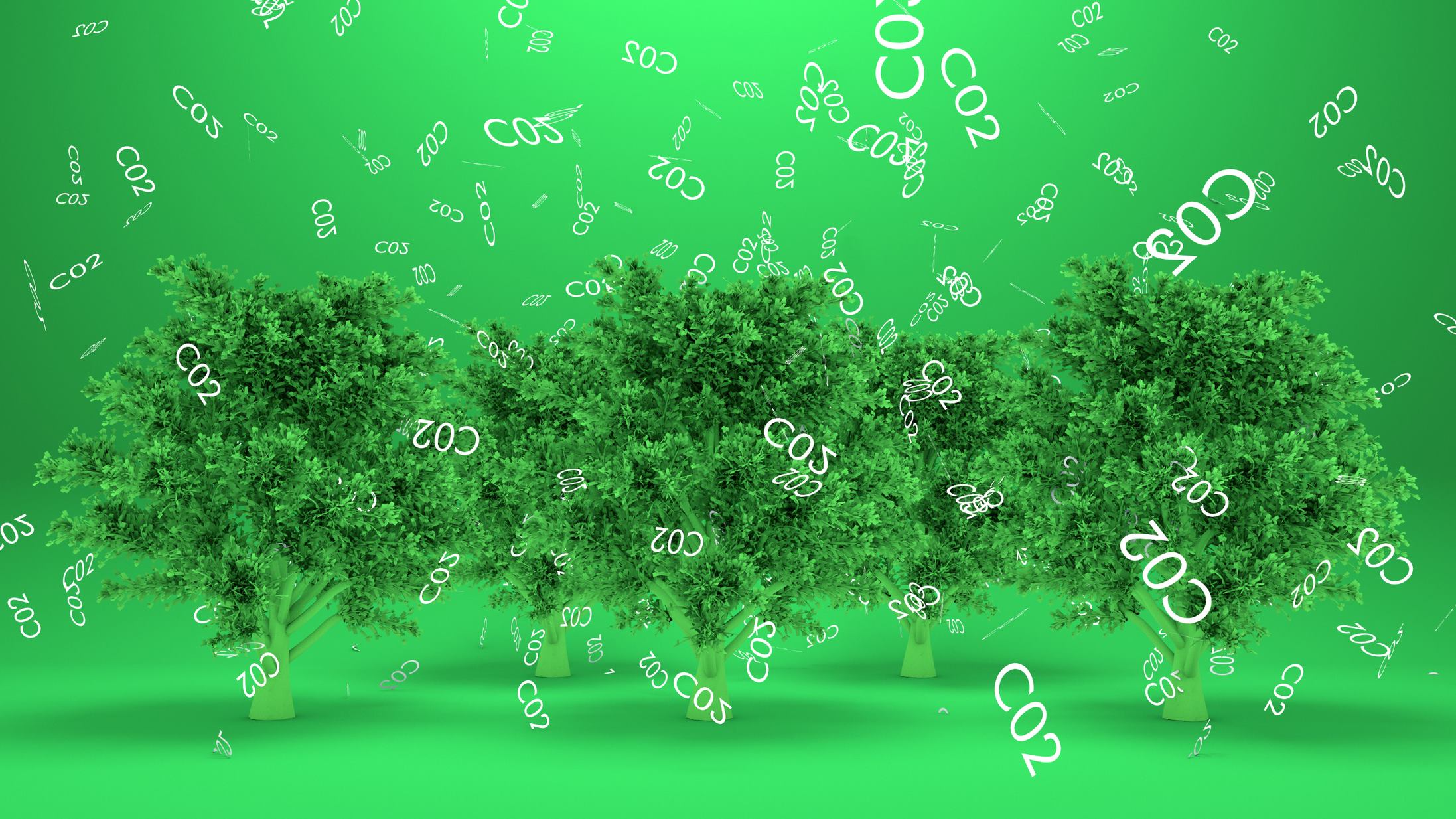 Image of tress in a green background 