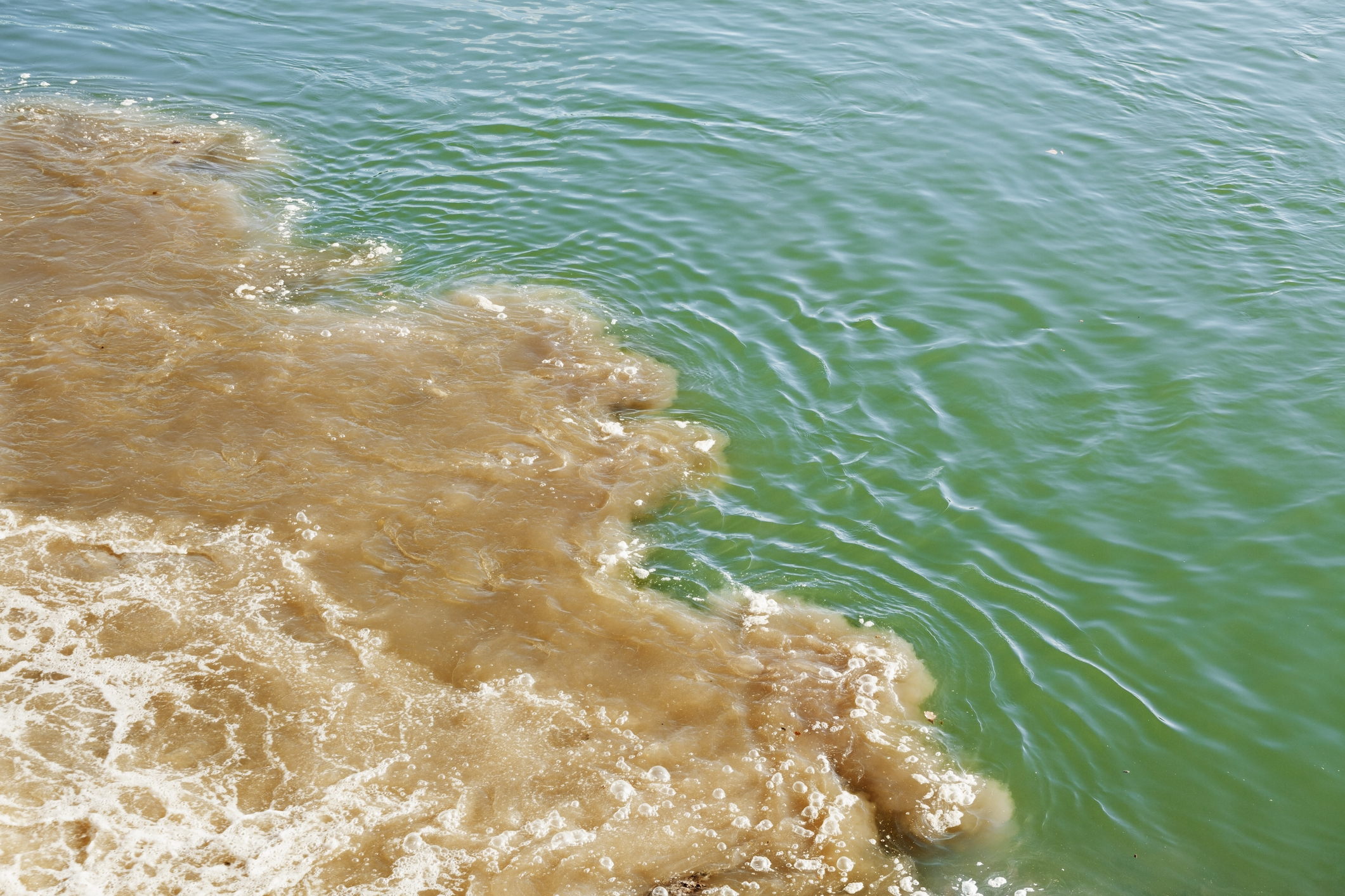 brown murky water mixing with cleaner looking water