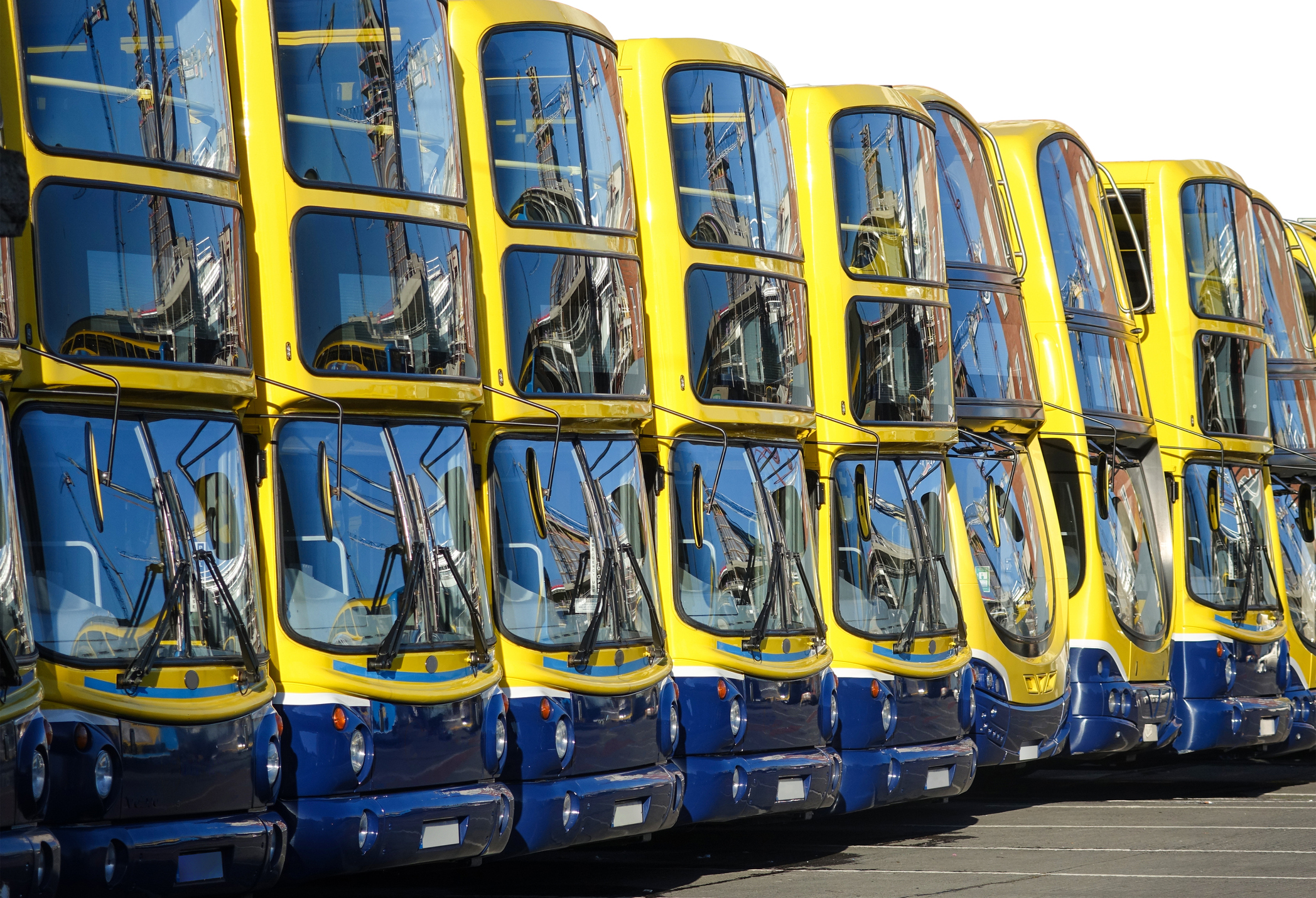 a row of Dublin buses