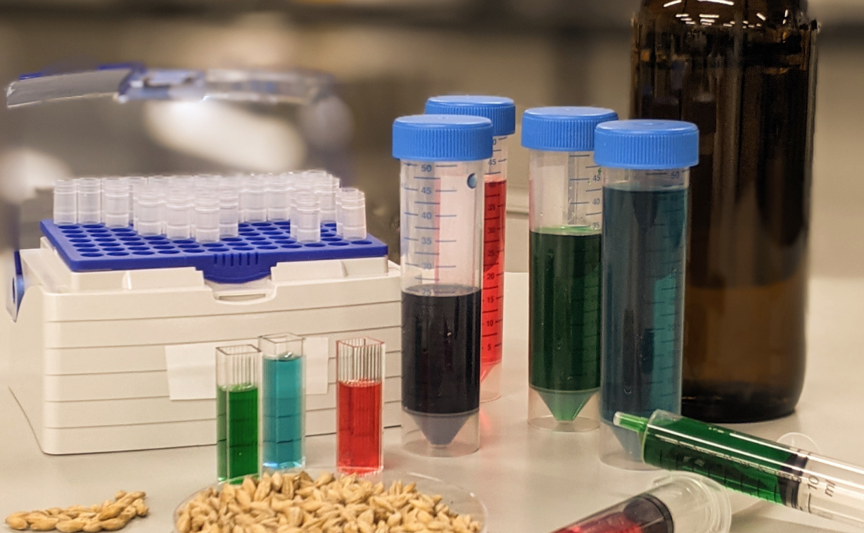 lab bench with test tubes, dishes and flasks
