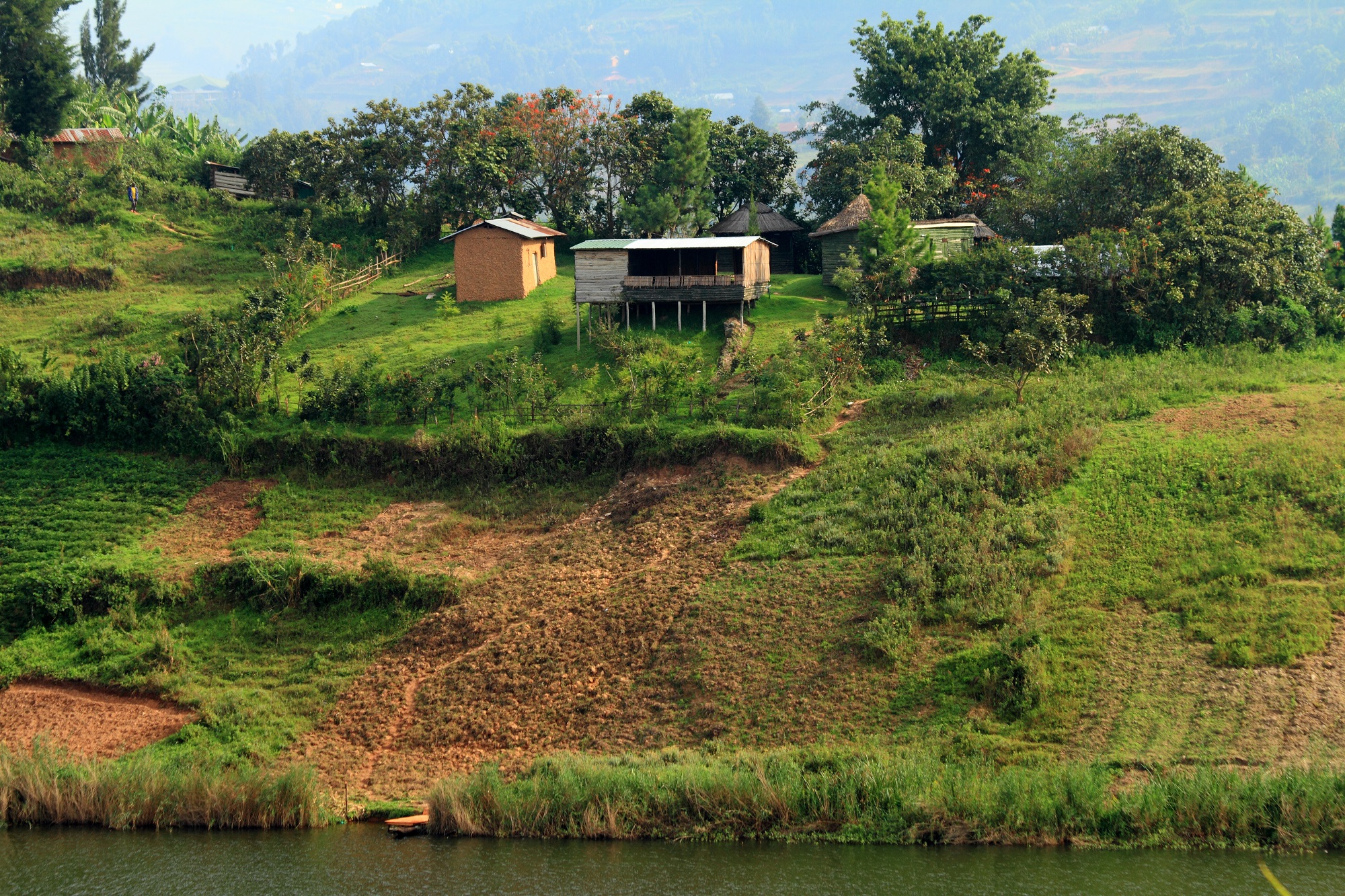 image of a smallholding on a hillside in Uganda