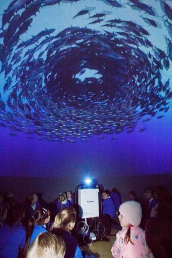 A picture of children looking at a digital projection of a school of fish. 