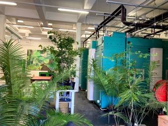 image of a lab with many plants on it.