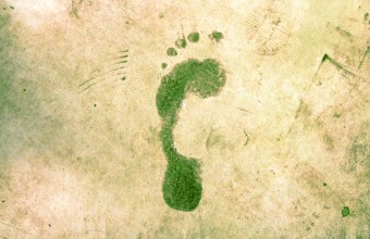 Photograph of a green coloured footprint on a yellow background