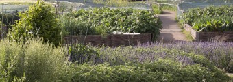 Airfield Estates food gardens
