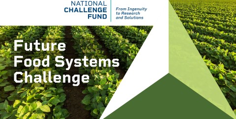 graphic for Future Food Systems Challenge