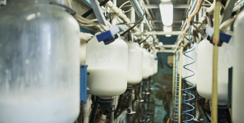 picture of milk tanks