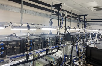 Image of lab where seaweed is being grown and monitored