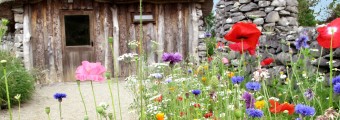 Tulips and garden flowers growing beside a hut at Brigit's Garden