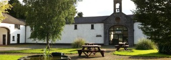 Benches and a new tree planted in the Courtyard of the Irish Peatland Conservation Council