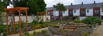 GLAS community gardens holding many different types of plants