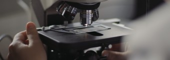 A person using a microscope