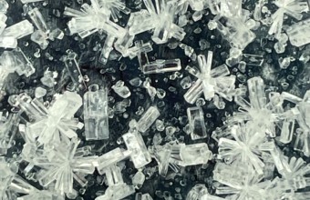 image of crystals of Griseofulvin that look like flowers or snowflakes