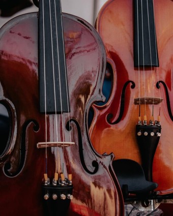 A Picture of two string instruments.