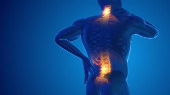 Graphic showing a person indicating they have pain in their lower back and neck 