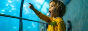 Young child stands amazed and pointing to the animals in the aquarium 