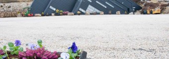 Entrance to the Arigna Mining Experience in the background with flowers in the foreground