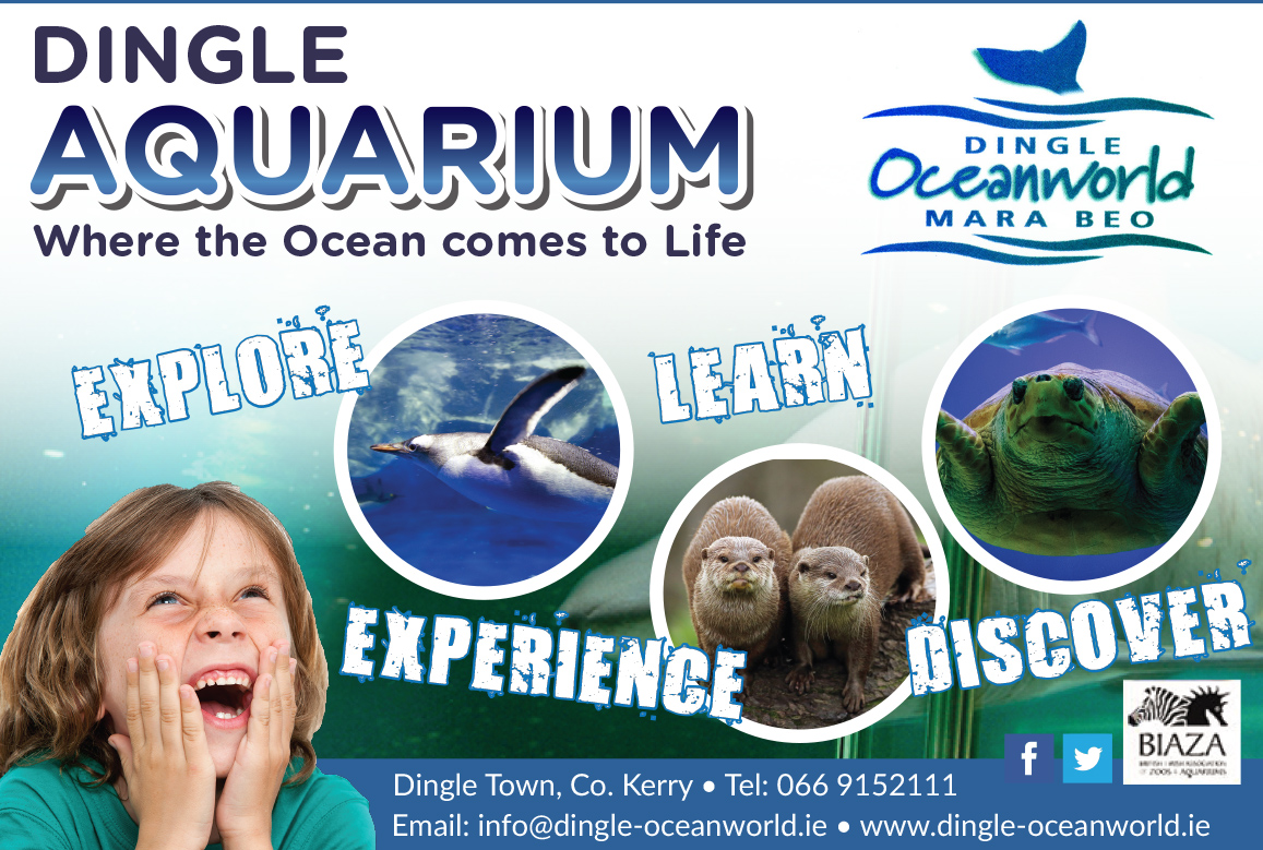 Ocean World Aquarium Dingle brochure cover
