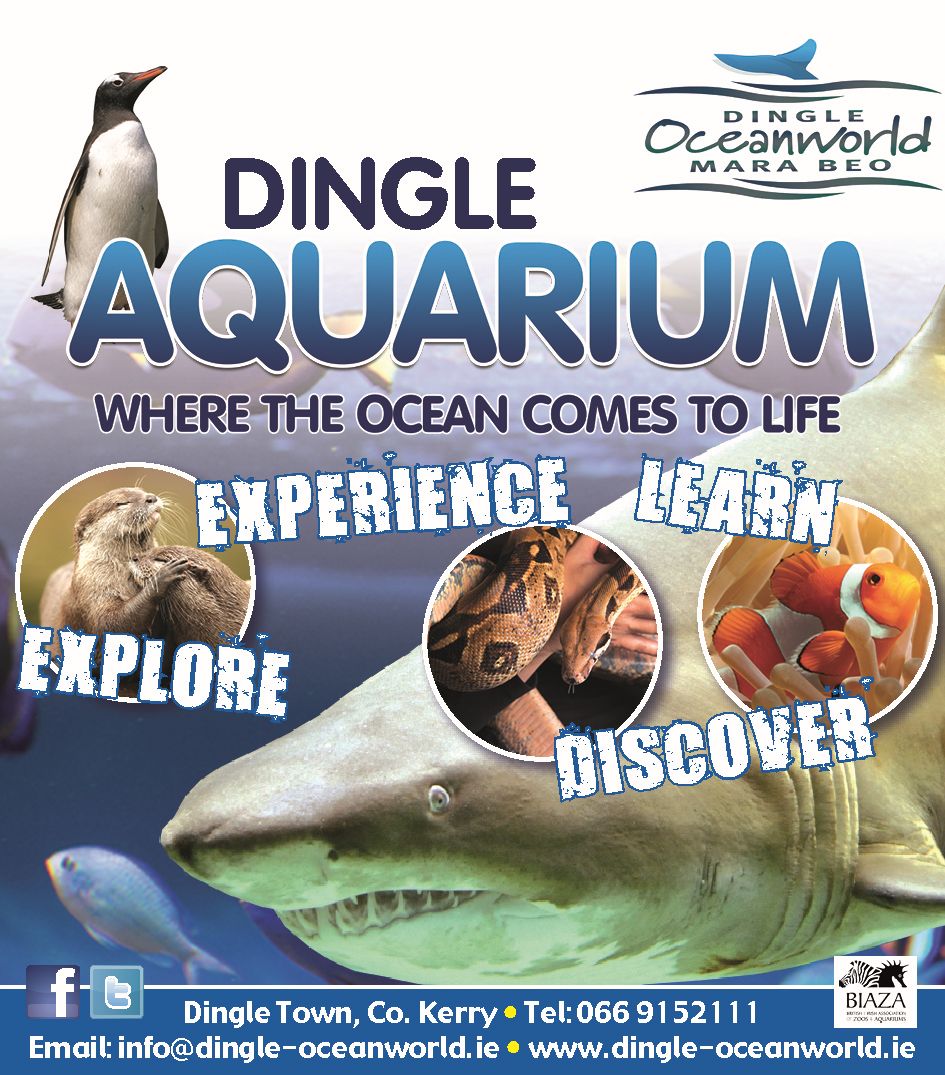Ocean World Aquarium Dingle brochure cover